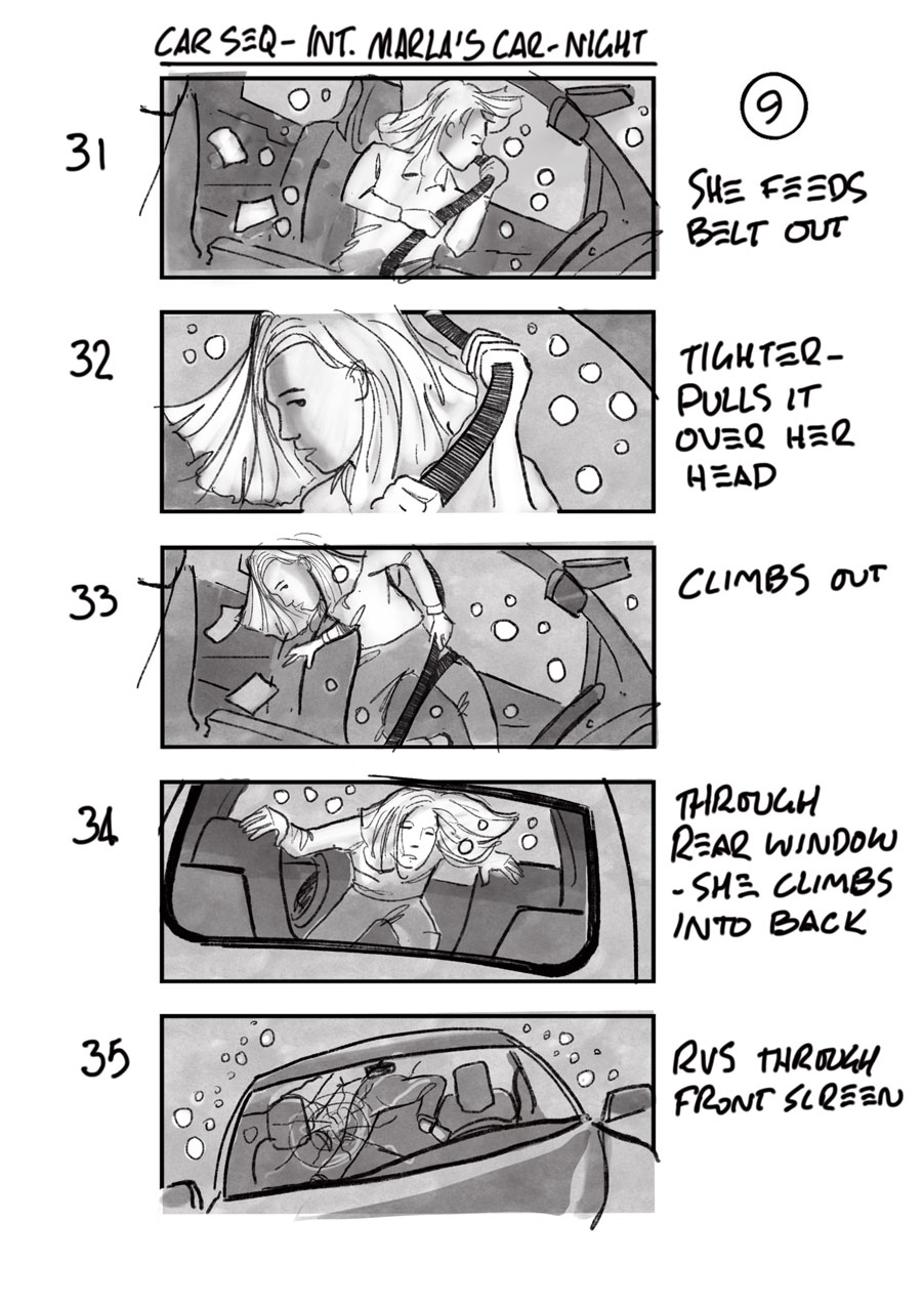 douglas ingram, storyboard art, i care a lot